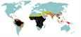 Graf. 1 - Diffusione della malaria nel mondo